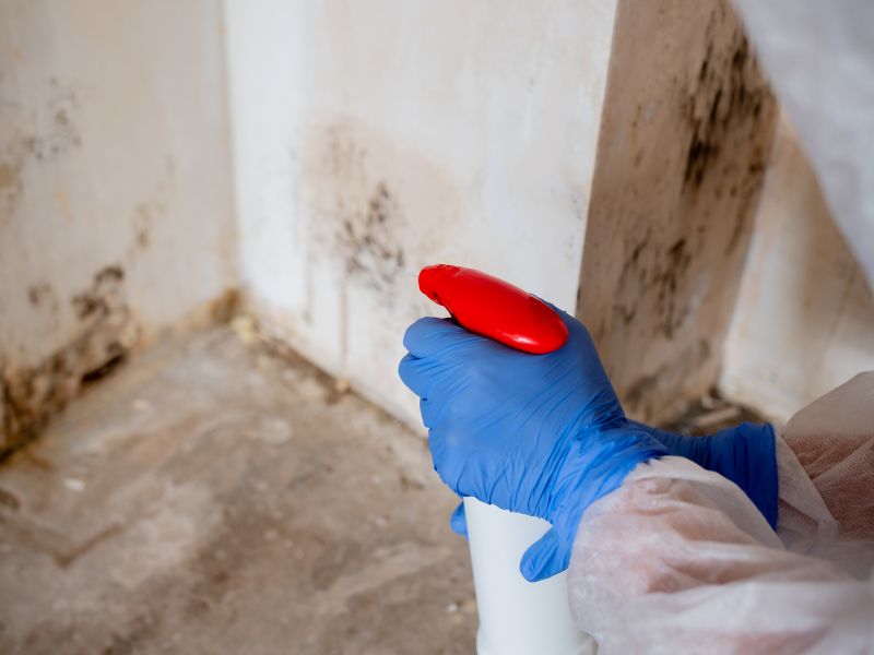 Attic Mold Removal in Jupiter, FL