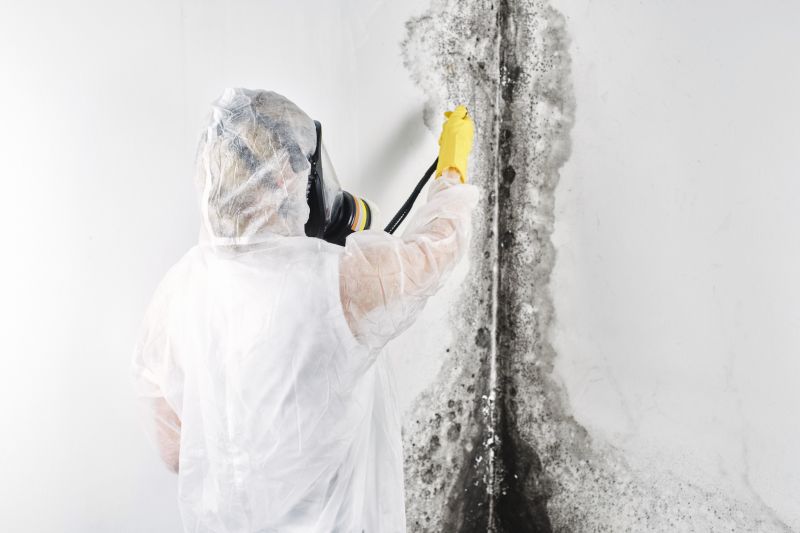 Mold Removal in Broward County, FL