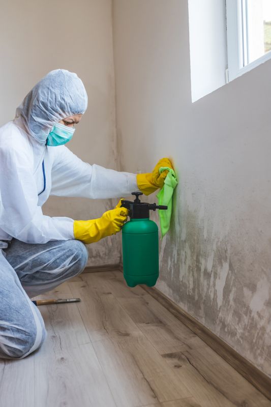 Mold Treatment Service in West Palm Beach, FL