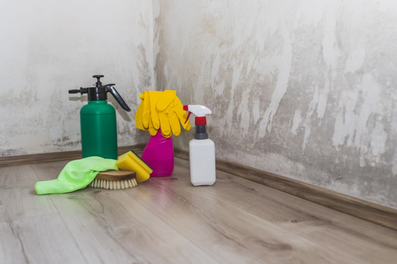 Air Duct Mold Removal in Broward County, FL