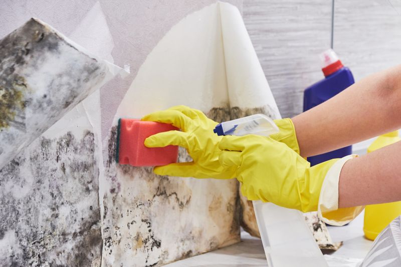 Basement Mold Remediation in Frisco, TX
