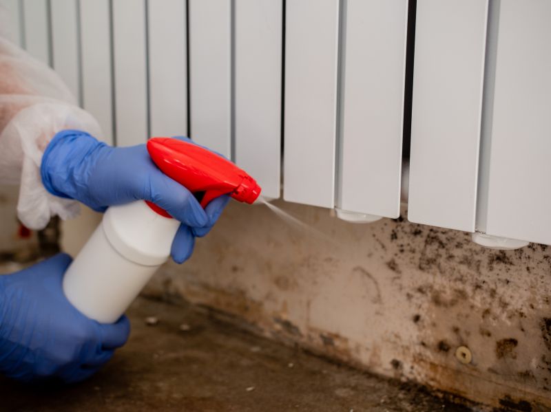 Basement Mold Remediation in Fort Worth, TX