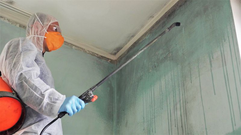 Crawlspace Mold Remediation in Dallas, TX