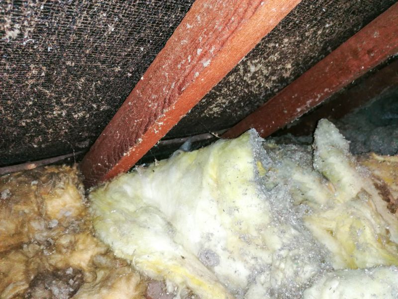 Who Does Asbestos Inspections